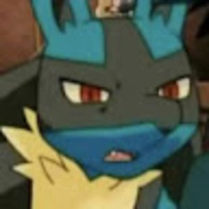 Meet your Posher, Armando